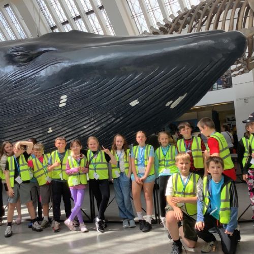 Natural History Museum
